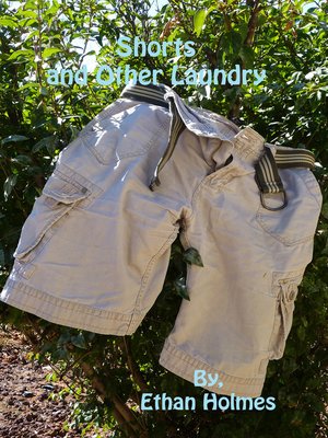 cover image of Shorts and Other Laundry